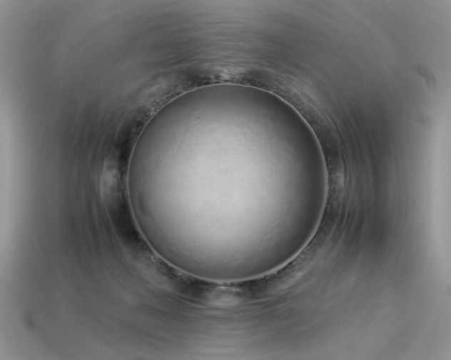 X0000113540222200909181204