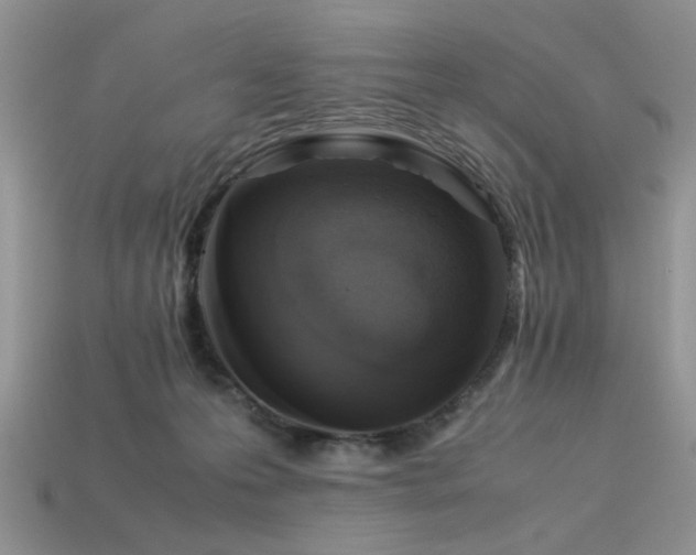 X0000113540223200909181204