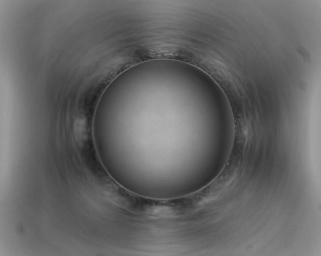 X0000113540224200909181204