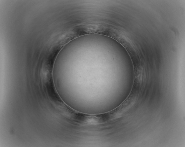 X0000113540226200909181204