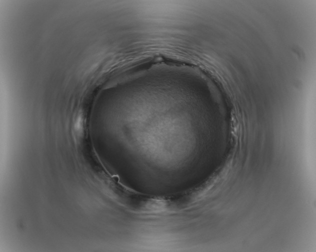 X0000113540227200909181204