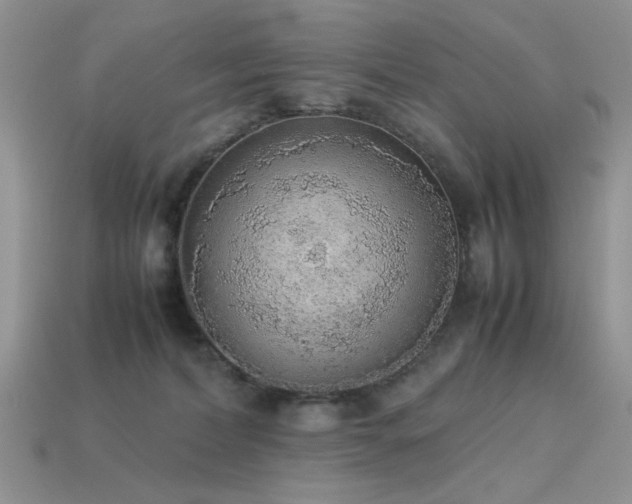 X0000113540228200909181204