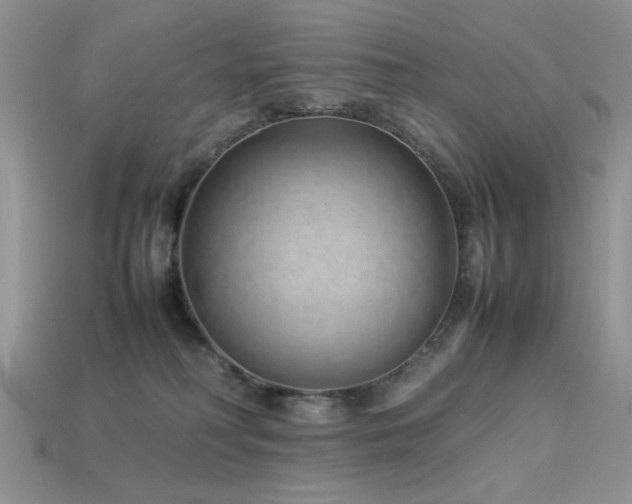 X0000113540230200909181204
