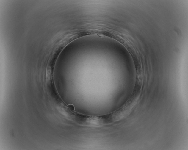 X0000113540231200909181204