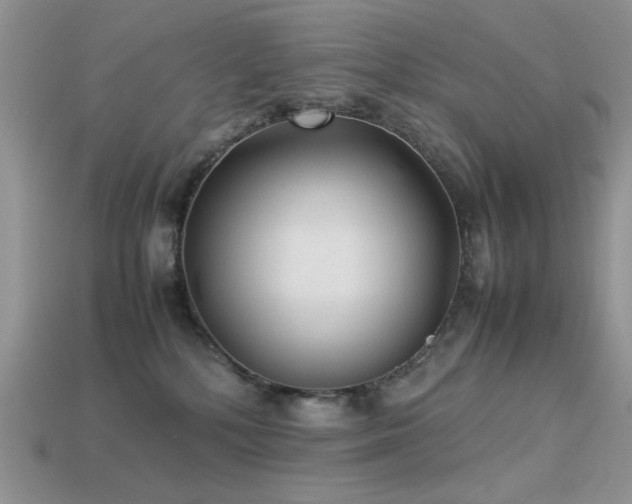 X0000113540232200909181204