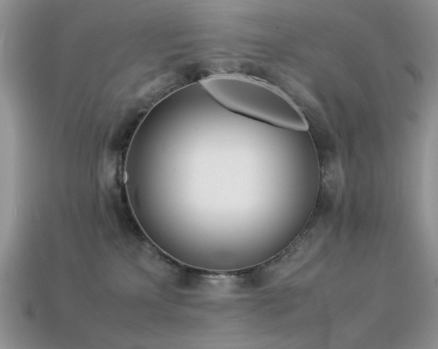 X0000113540233200909181204