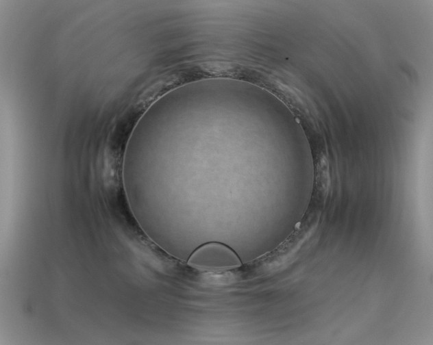X0000113540234200909181204