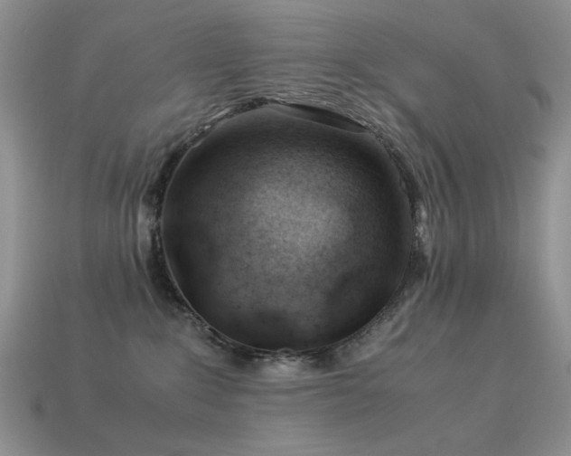 X0000113540235200909181204