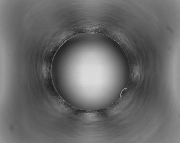 X0000113540236200909181204