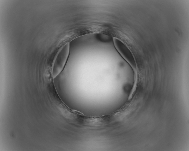 X0000113540237200909181204