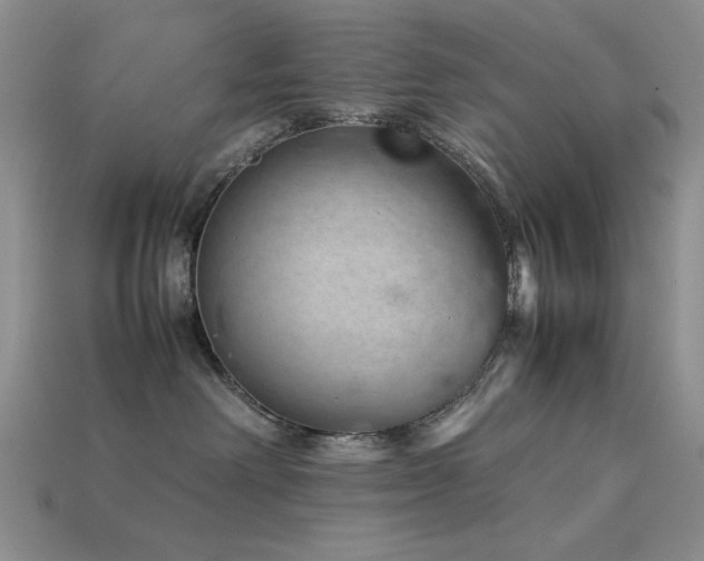 X0000113540238200909181204
