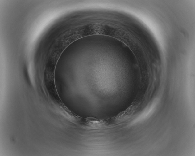 X0000113540239200909181204