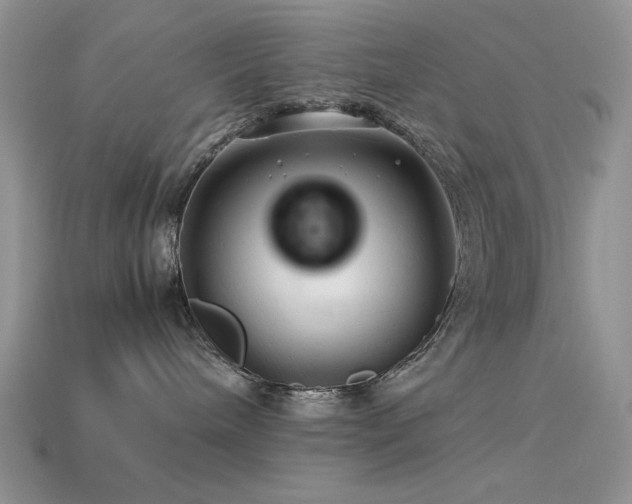 X0000113540240200909181204