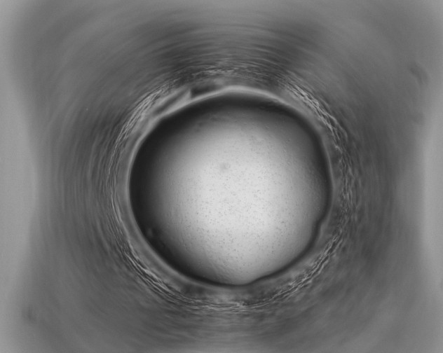 X0000113540241200909181203