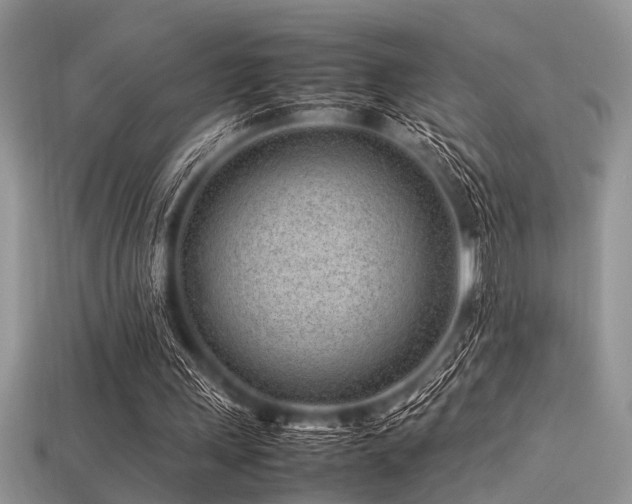 X0000113540243200909181203