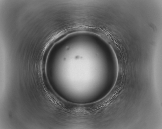 X0000113540244200909181203
