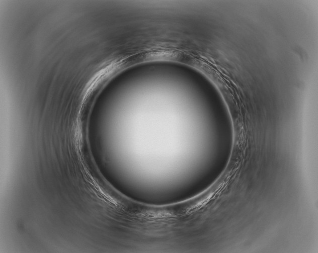 X0000113540245200909181203