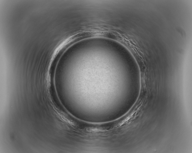 X0000113540246200909181203