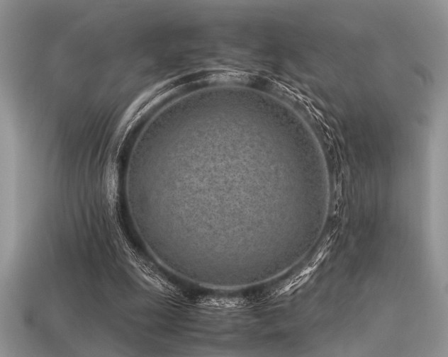 X0000113540247200909181203