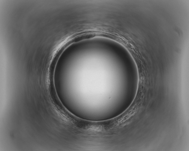 X0000113540248200909181203