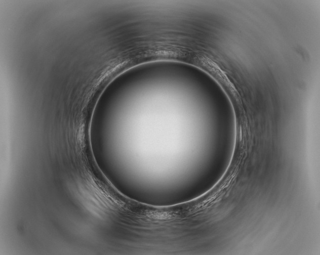 X0000113540249200909181203