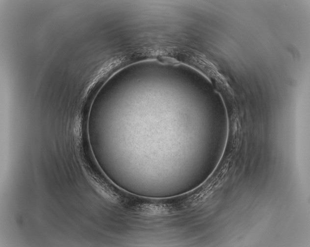 X0000113540250200909181203