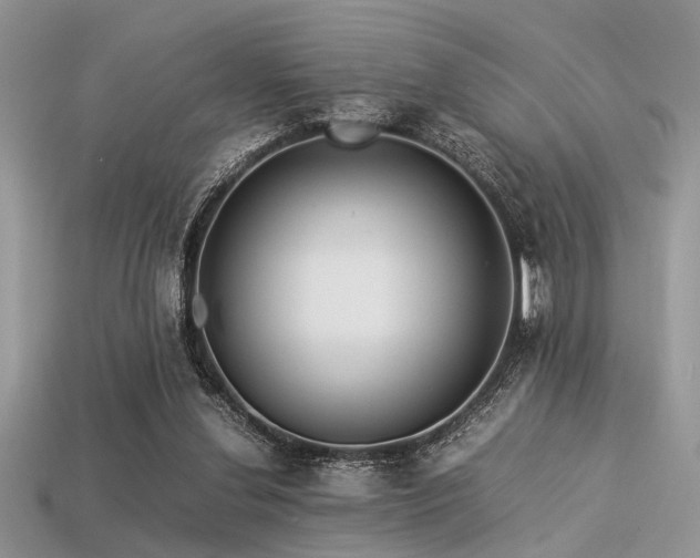 X0000113540252200909181203