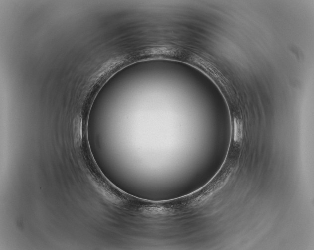 X0000113540253200909181203
