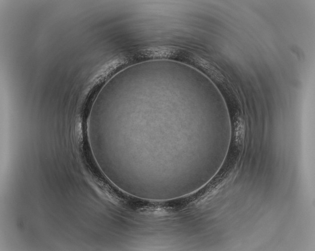 X0000113540254200909181203