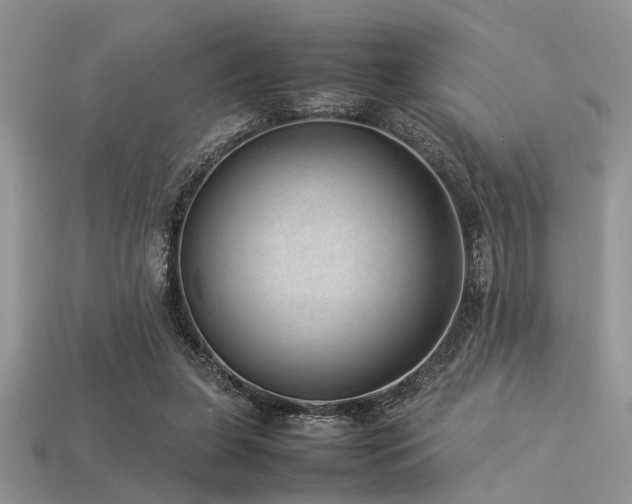 X0000113540255200909181203