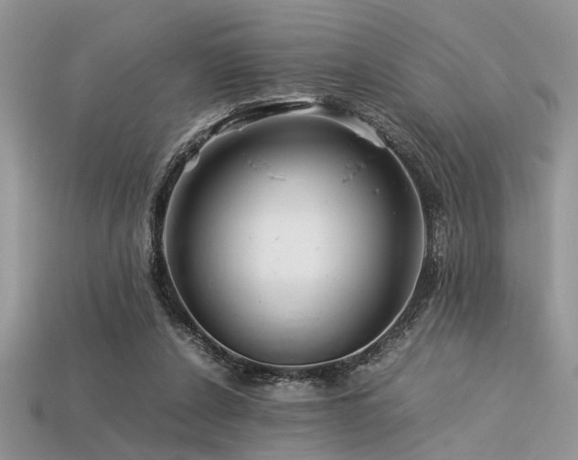 X0000113540256200909181203