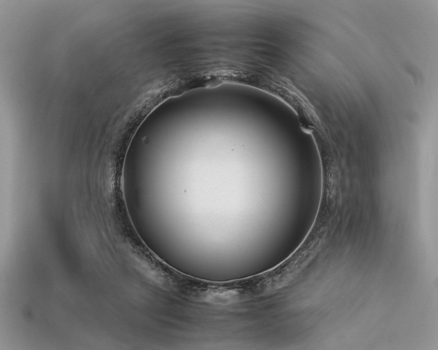 X0000113540257200909181203