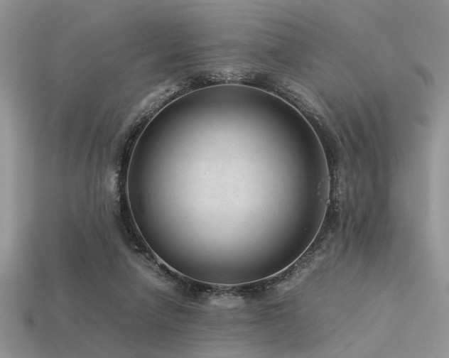 X0000113540258200909181204