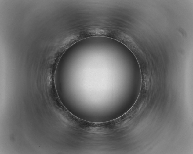 X0000113540259200909181204