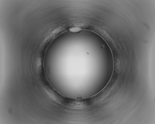 X0000113540260200909181204