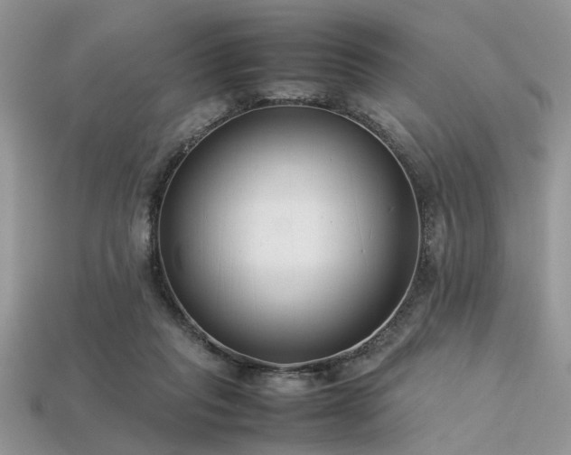 X0000113540261200909181204