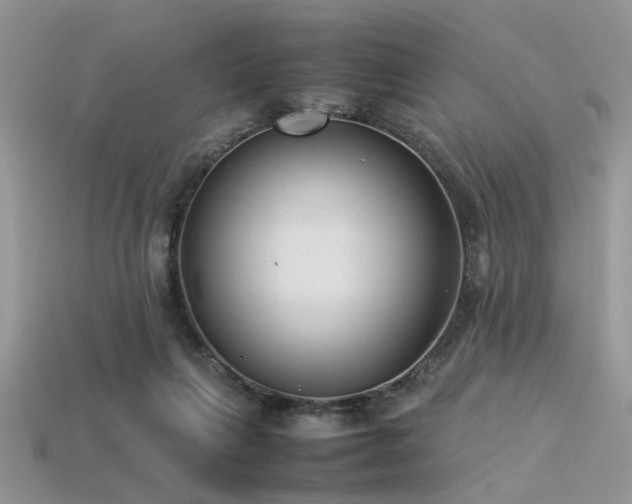 X0000113540263200909181204