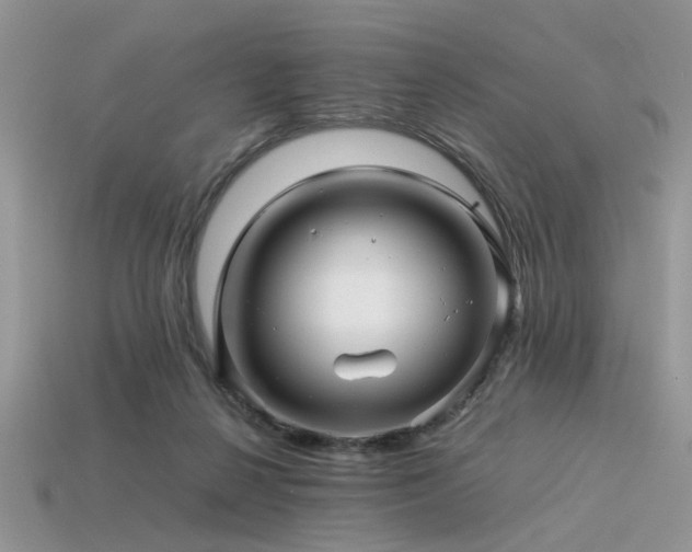 X0000113540264200909181204