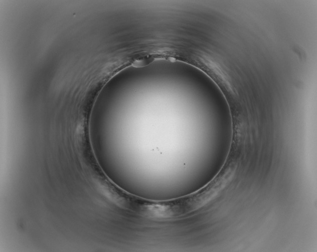 X0000113540265200909181204
