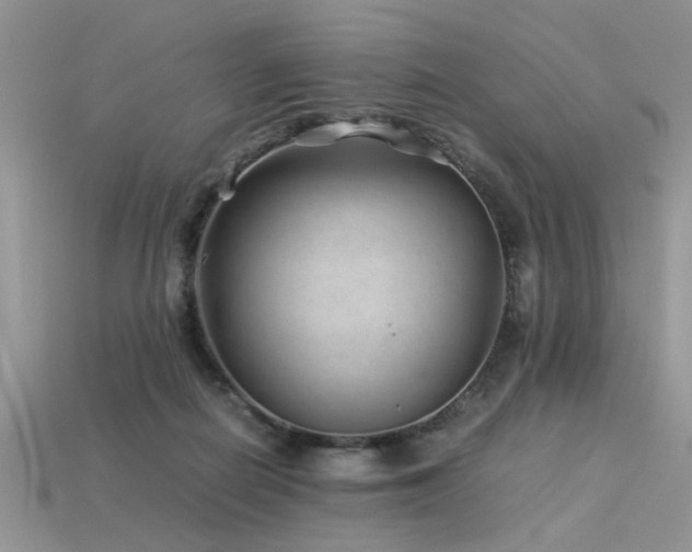 X0000113540266200909181204