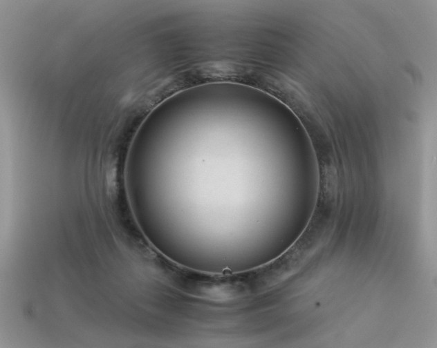 X0000113540267200909181204