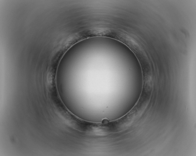 X0000113540268200909181204