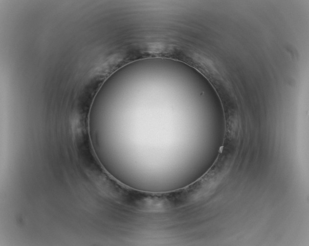X0000113540272200909181204