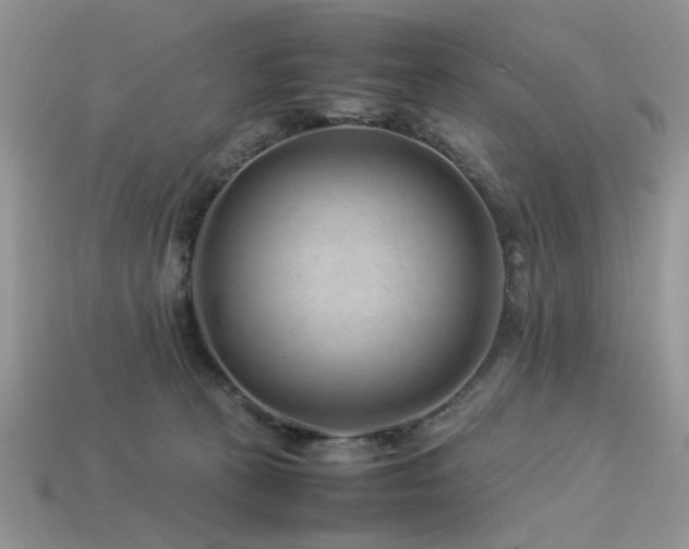 X0000113540273200909181204