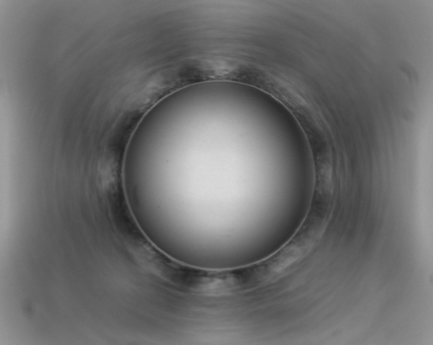 X0000113540274200909181204