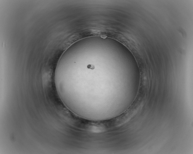 X0000113540275200909181204