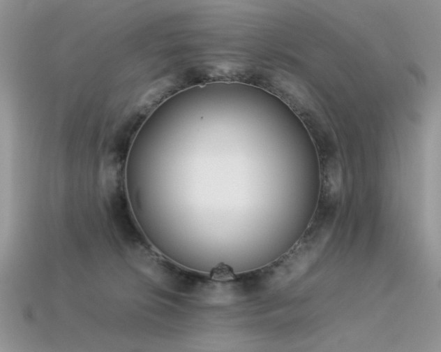 X0000113540276200909181204