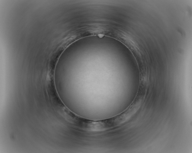X0000113540277200909181204