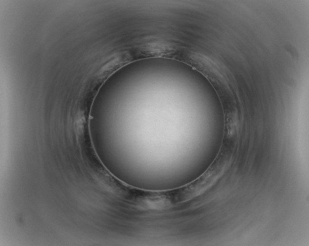 X0000113540279200909181204