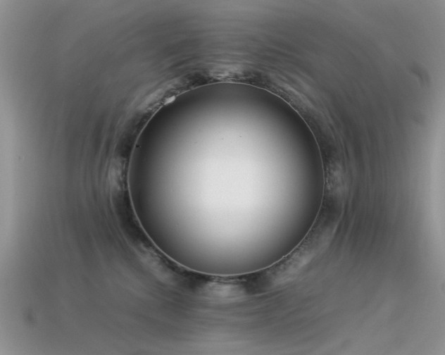 X0000113540280200909181204